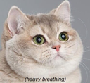 :breathe: :breathe: