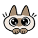 :azukisan009: :azukisan009: