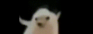 :hedgehog_dance2: